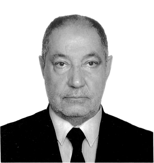 Eng. Raouf Hussien